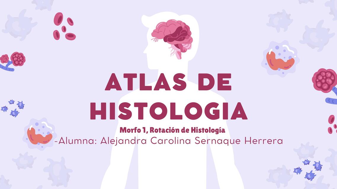 Atlas de Histología Morfo 1 UCUSR