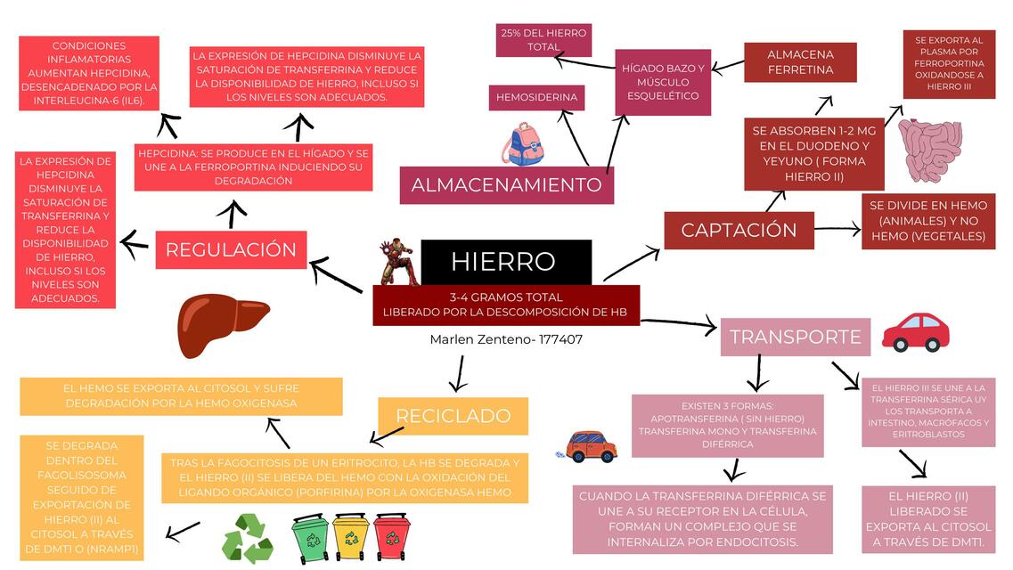 Hematología 