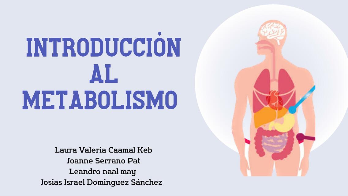 Introducción al Metabolismo 