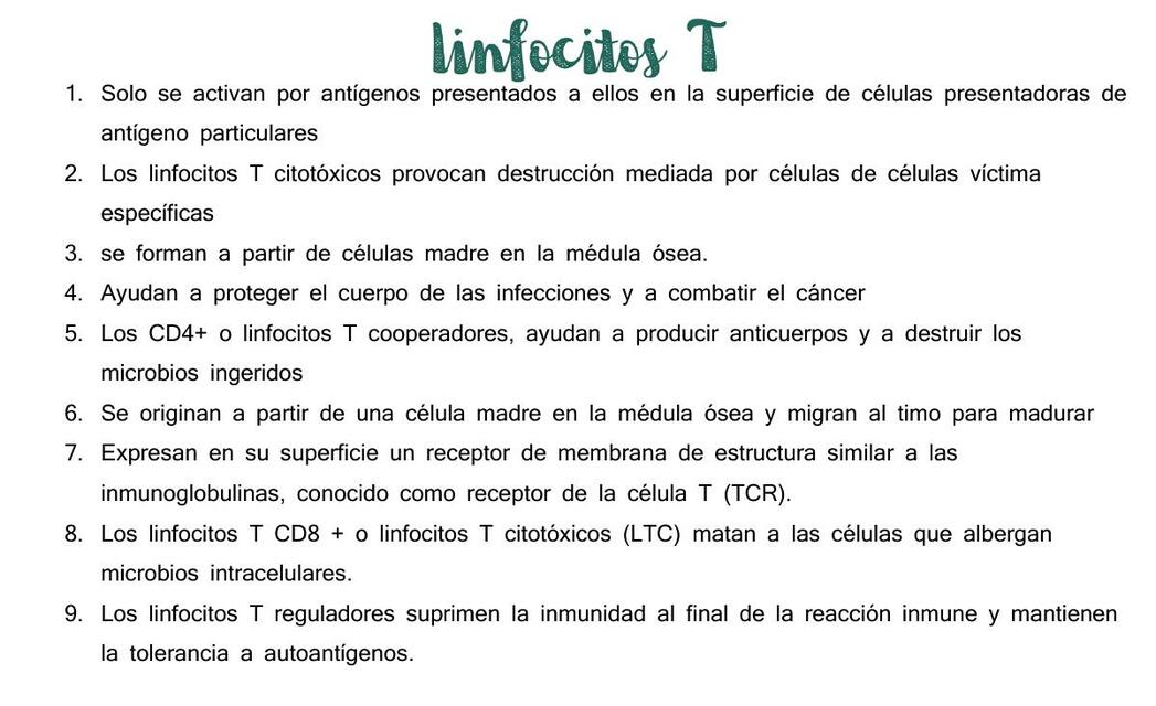 Celulas del sistema inmunitario tipo flascards