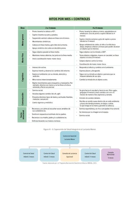 Hitos por mes + controles de salud