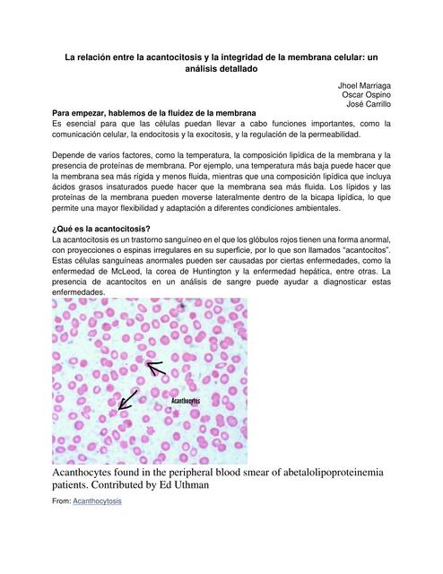 La relación entre la acantocitosis y la integridad de la membrana celular: un análisis detallado