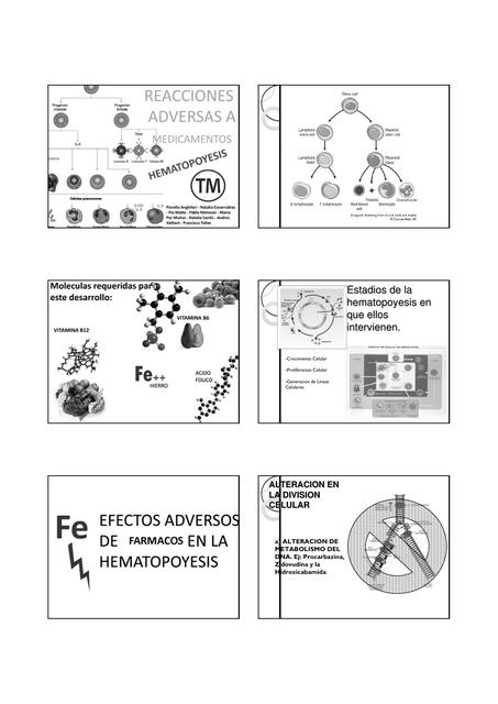 Hematopoyesis 