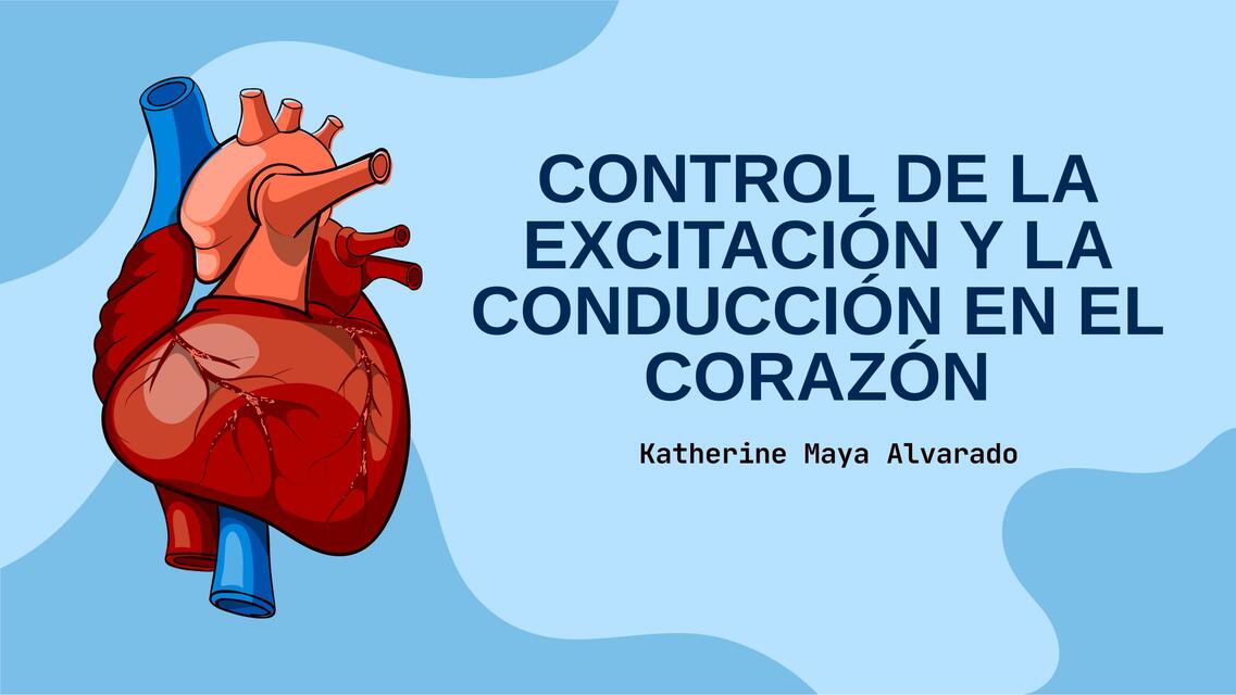 Control de la excitación y la conducción en el corazon