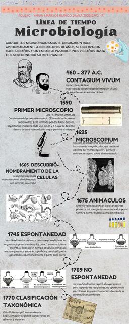 Linea Tiempo Microbiología