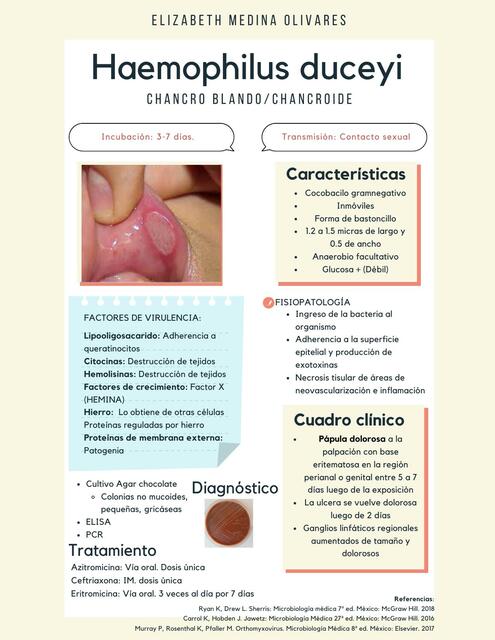 Haemophilus Duceyi