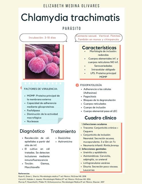 Chlamydia trachimatis