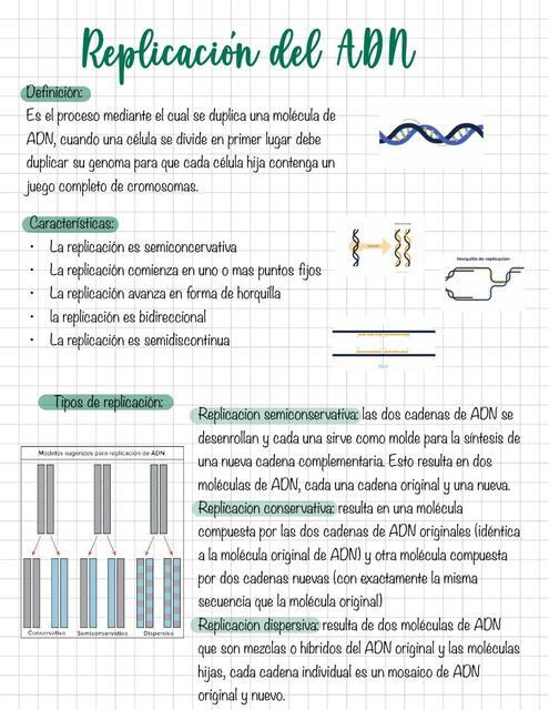 Repliación Del ADN