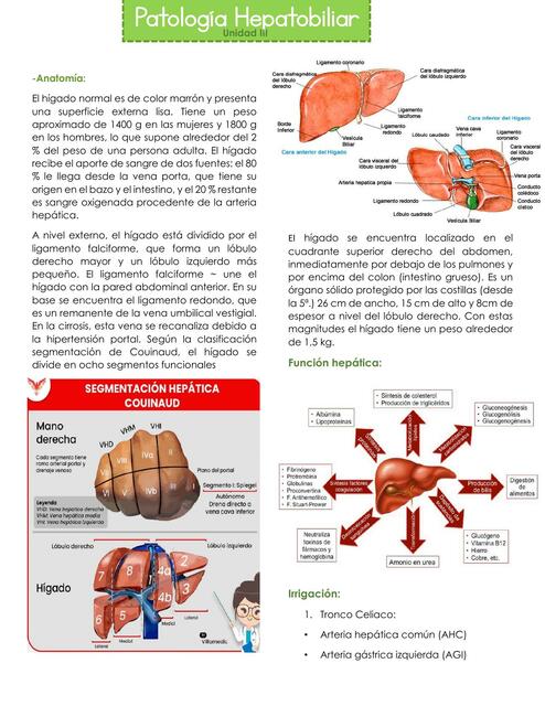 Patología hepatobiliar 