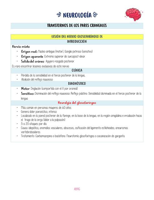 Nervio Glosofatingeo Doctorada11 Udocz