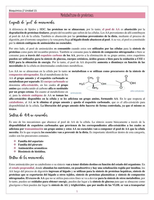 Metabolismo de Proteínas