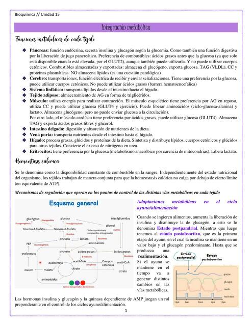 Integración Metabólica