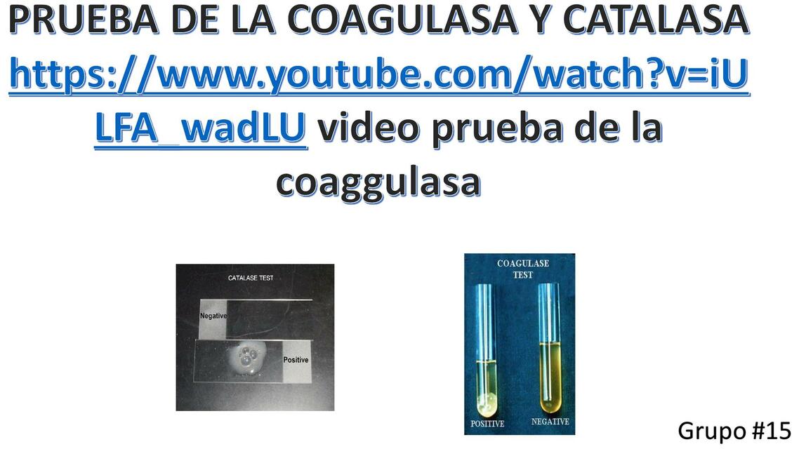 Coagulasa y Catalasa