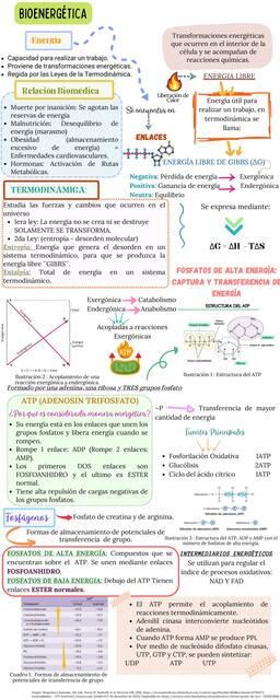 Bioenergética y ATP