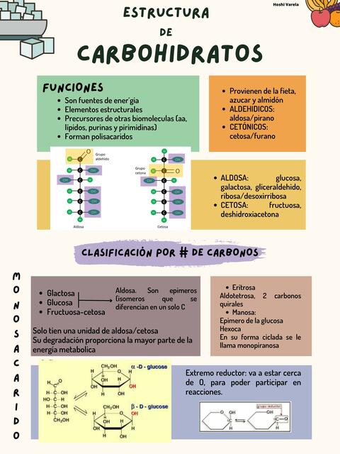 Estructura Básica De Los Carbohidratos Estructura De Carbohidratos.