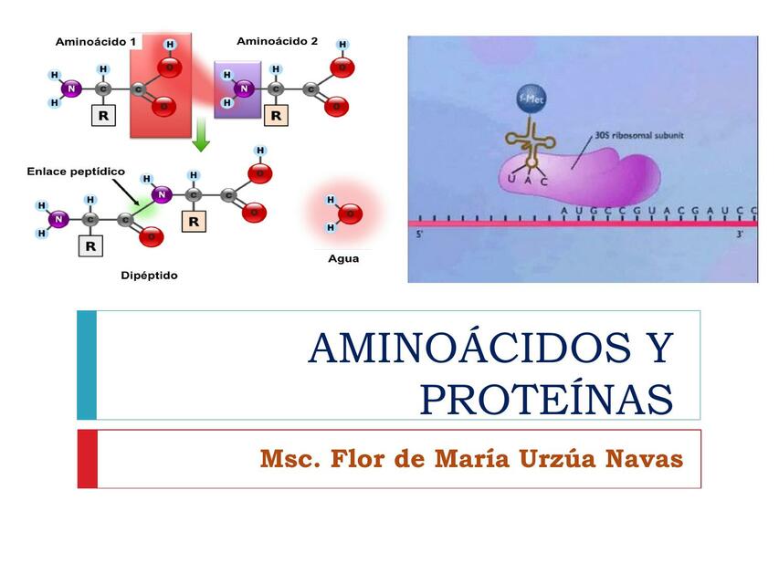 Aminoácidos y Proteínas 