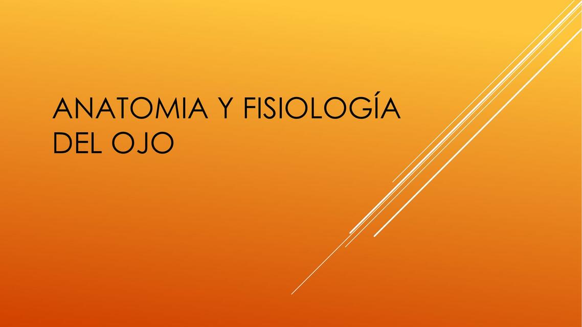 Anatomía y Fisiología del Ojo 