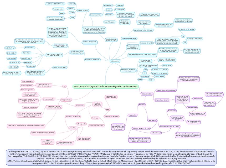 Auxiliares de Diagnóstico de Sistema Reproductor Masculino