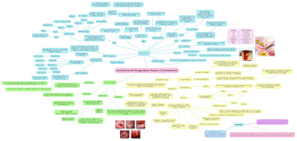Auxiliares de Diagnóstico del Sistema Reproductor Femenino