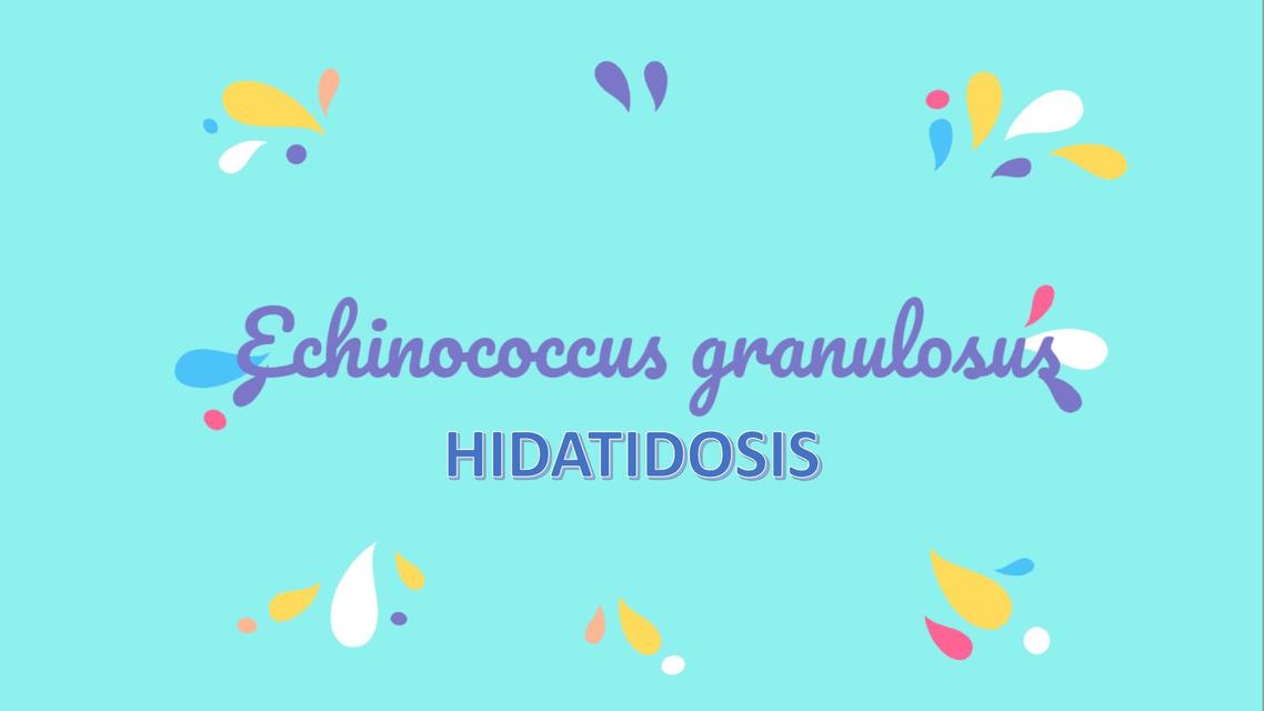 Hidatidosis clase