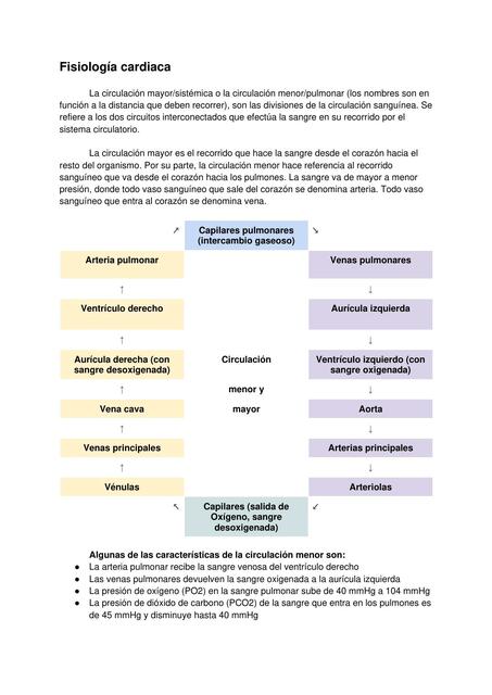 Fisiología Cardiaca