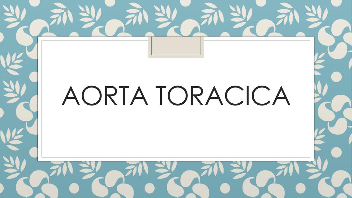 Aorta Torácica