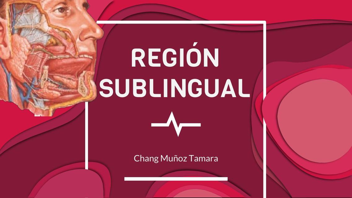 Expo de región sublingual