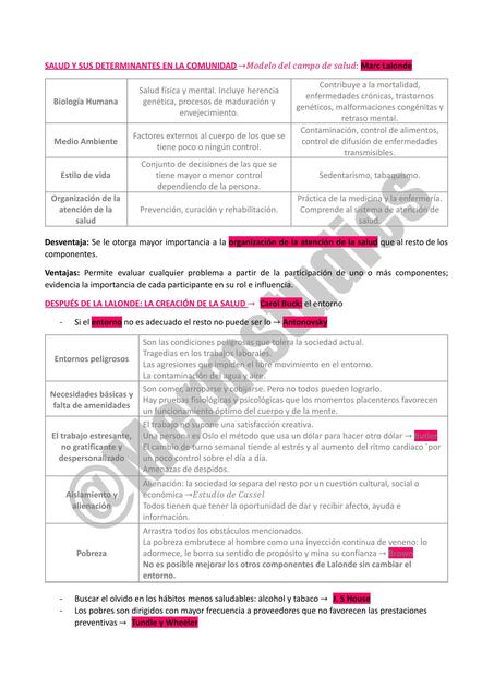 Salud y sus determinantes en la comunidad