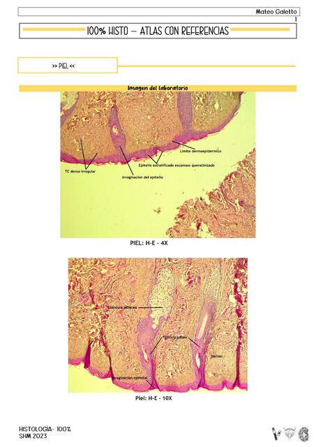 Atlas de histología de todo el cuerpo