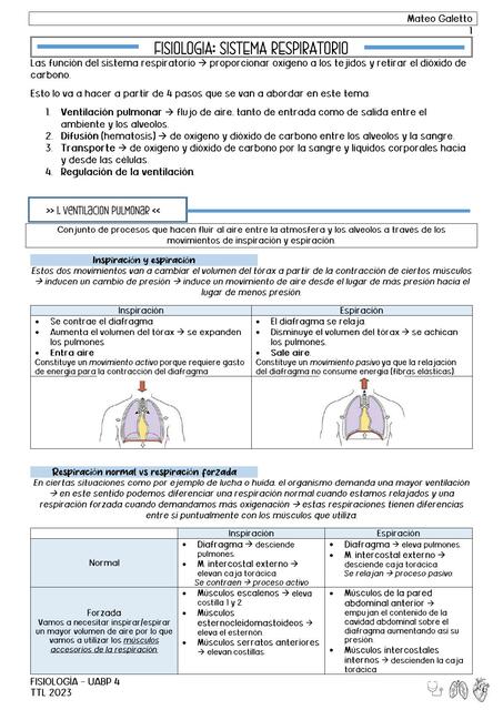 Fisiología de sistema respiratorio