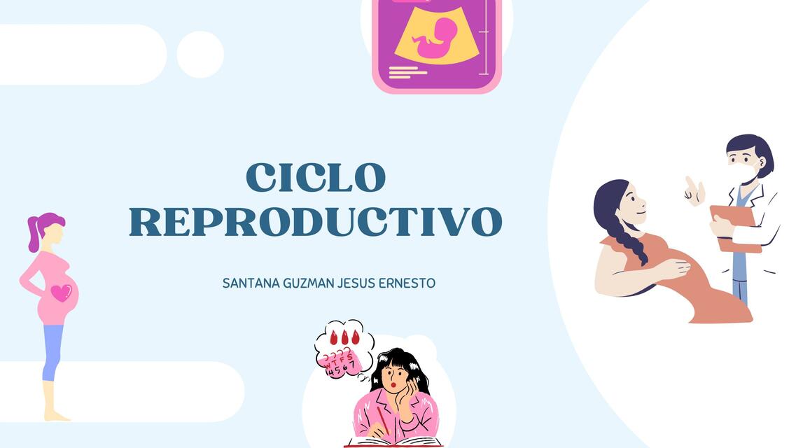 Ciclo Reproductivo