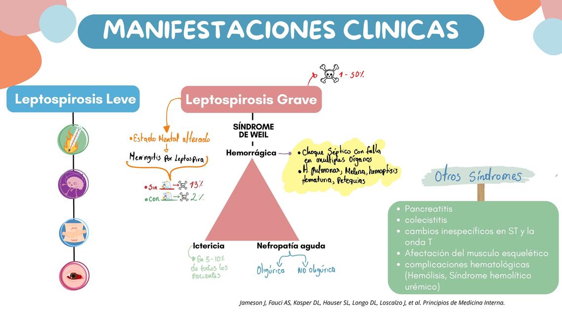 MANIFESTACIONES CLÍNICAS DE LEPTOSPIROSIS - MED INTERNA