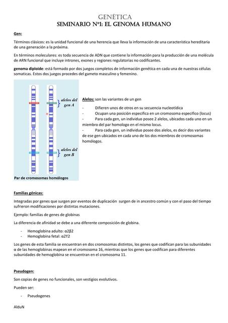 Transcriptos Genética CAT 3