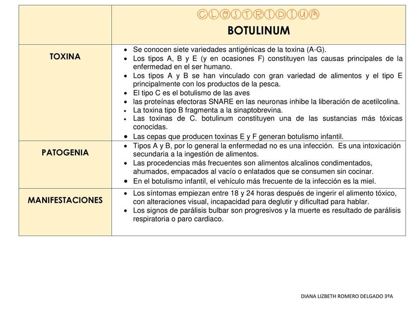 Clostridium