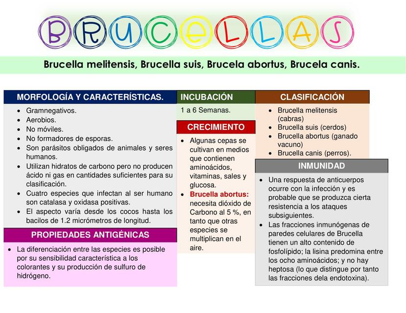 Brucellas 