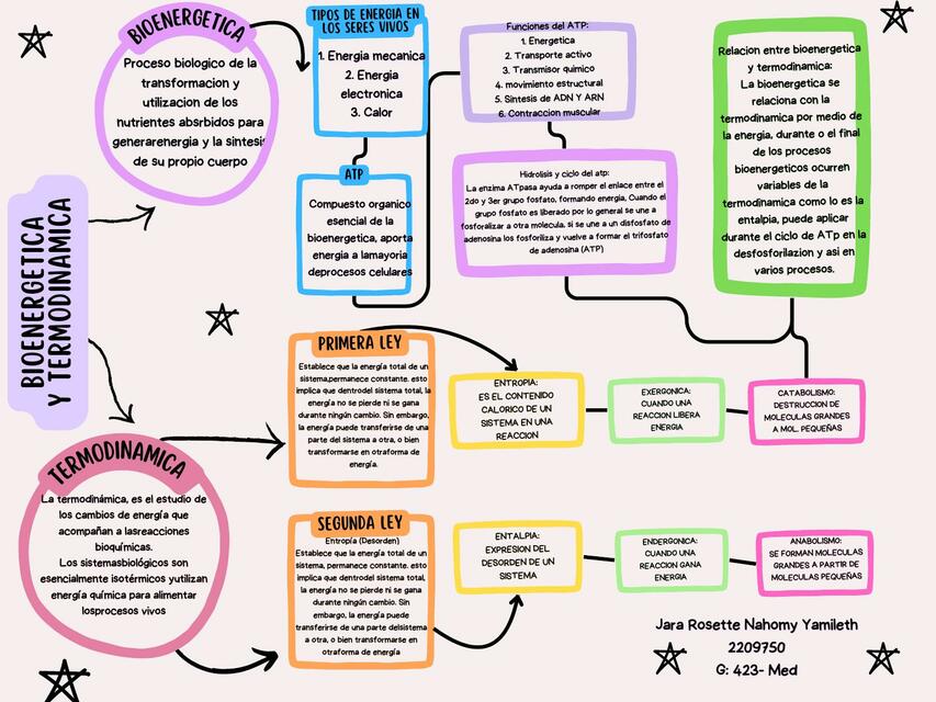 Bioenergética y termodinámica