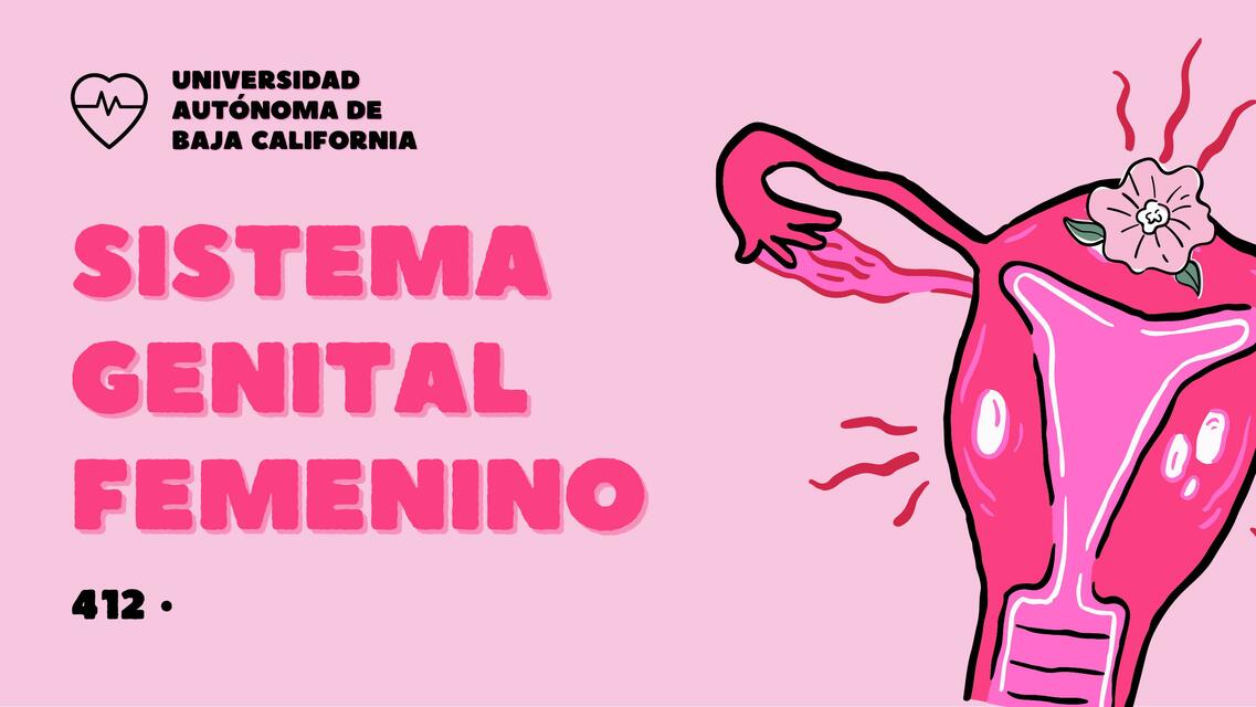 Sistema genital femenino