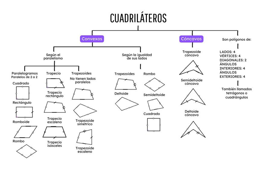 Cuadriláteros, tipos y propiedades 