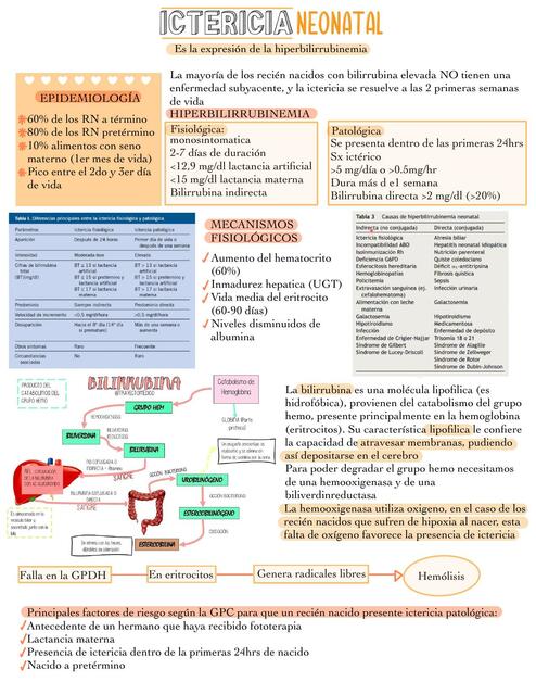 Ictericia neonatal