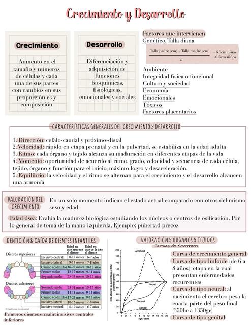 Crecimiento Y Desarrollo