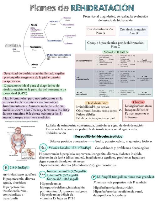 Planes de rehidratacion