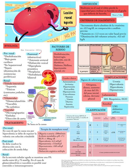 Lesión renal aguda