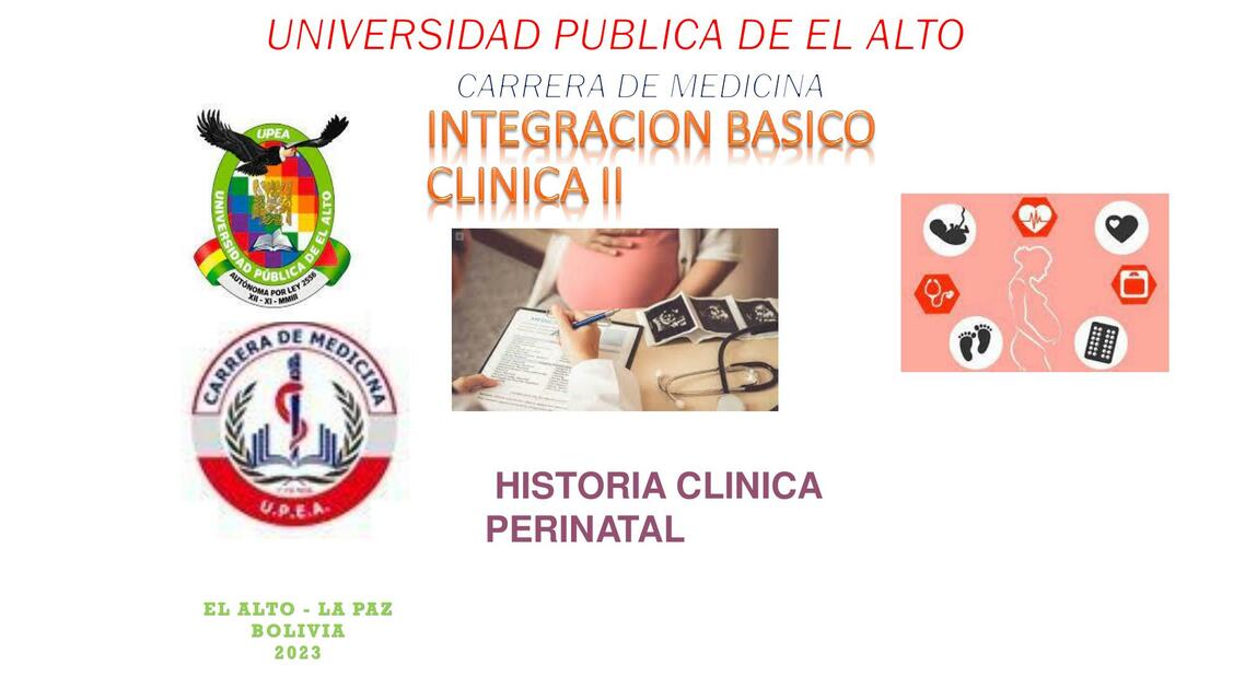 Historia Clínica Perinatal 