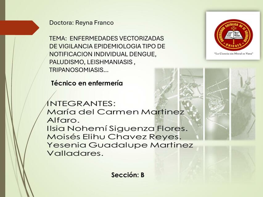 Enfermedades Vectorizadas de Vigilancia Epidemiológica 