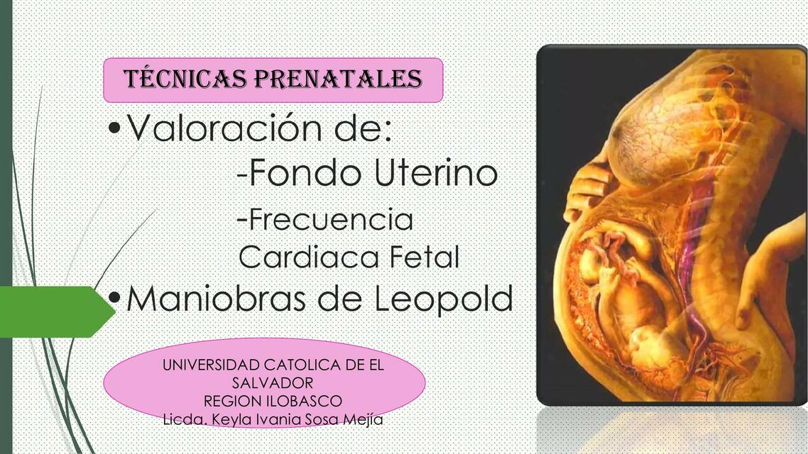 Técnicas Prenatales