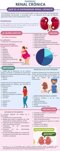 Enfermedad Renal Crónica