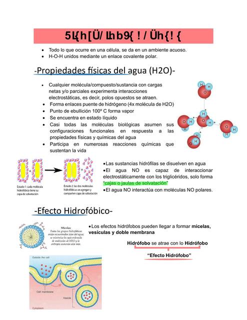 Disoluciones acuosas