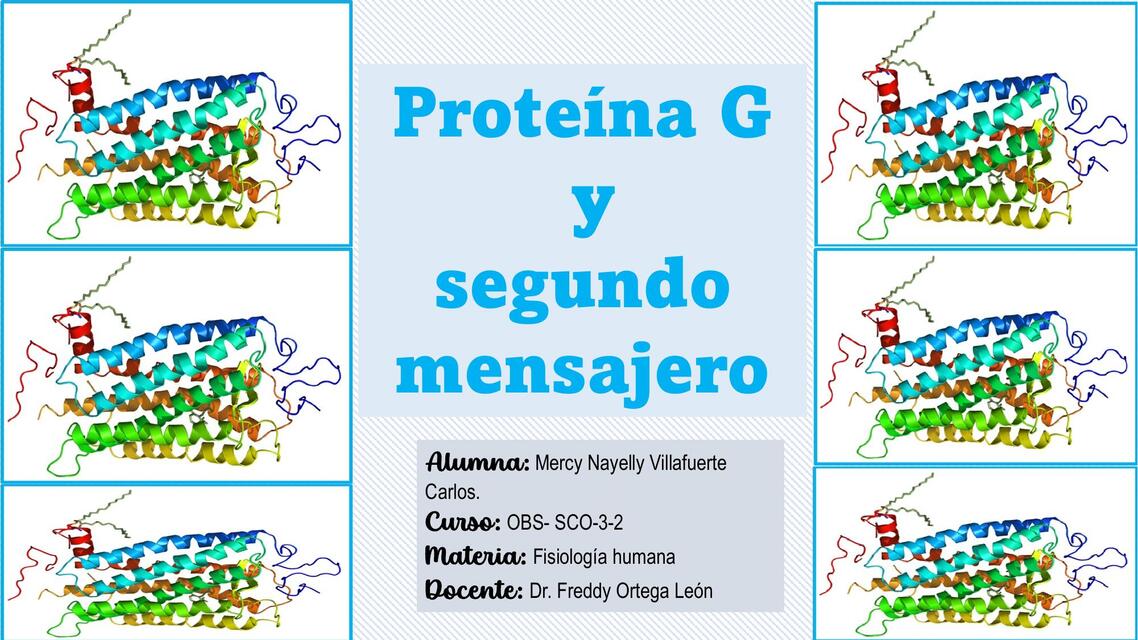 Estructura función de la proteína G segundo mensajero