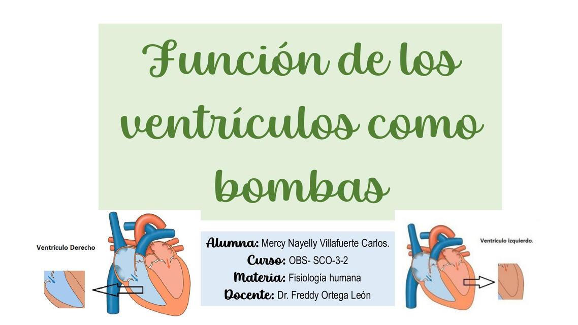 Función de los ventrículos como bombas 