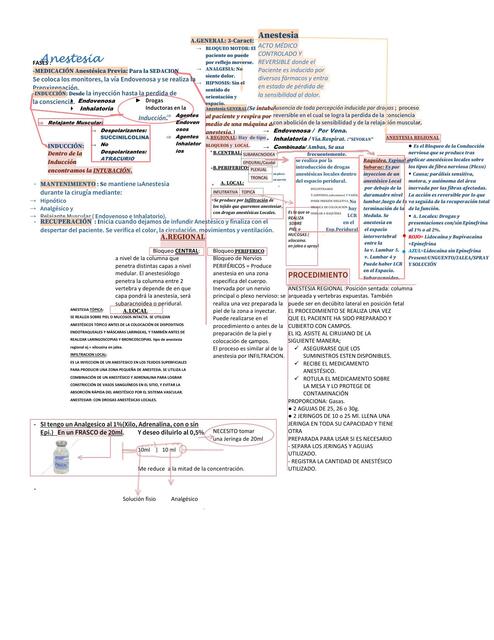 Anestesia  